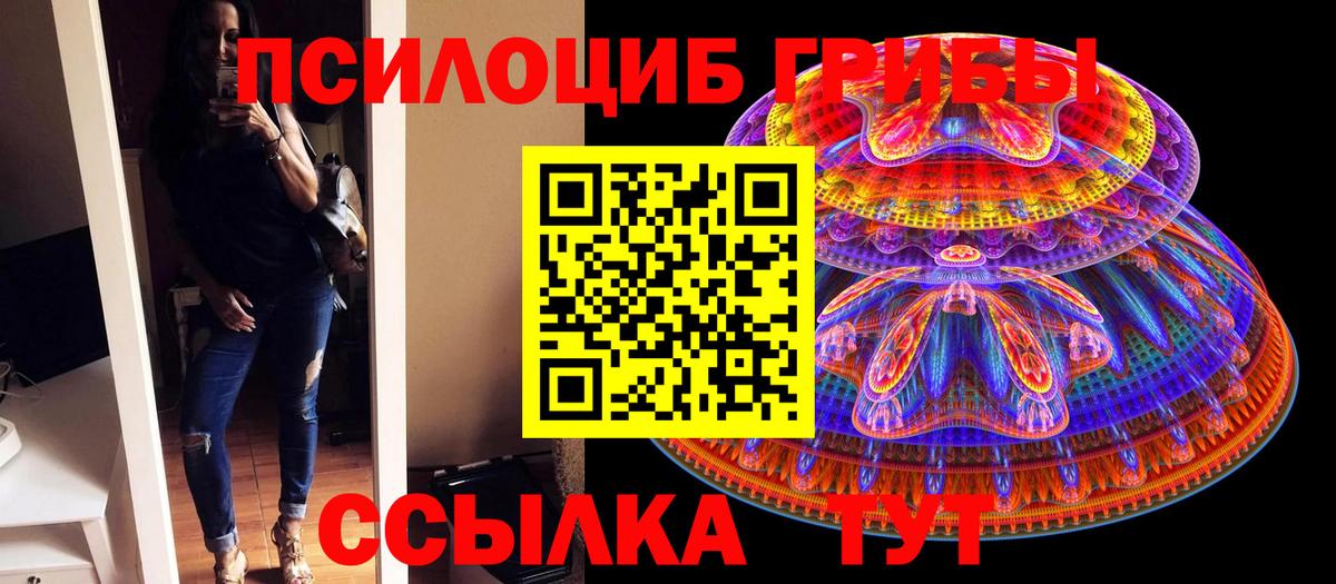 Вышний Волочёк  Псилоцибиновые грибы Magic Shrooms  Вход с VPN 