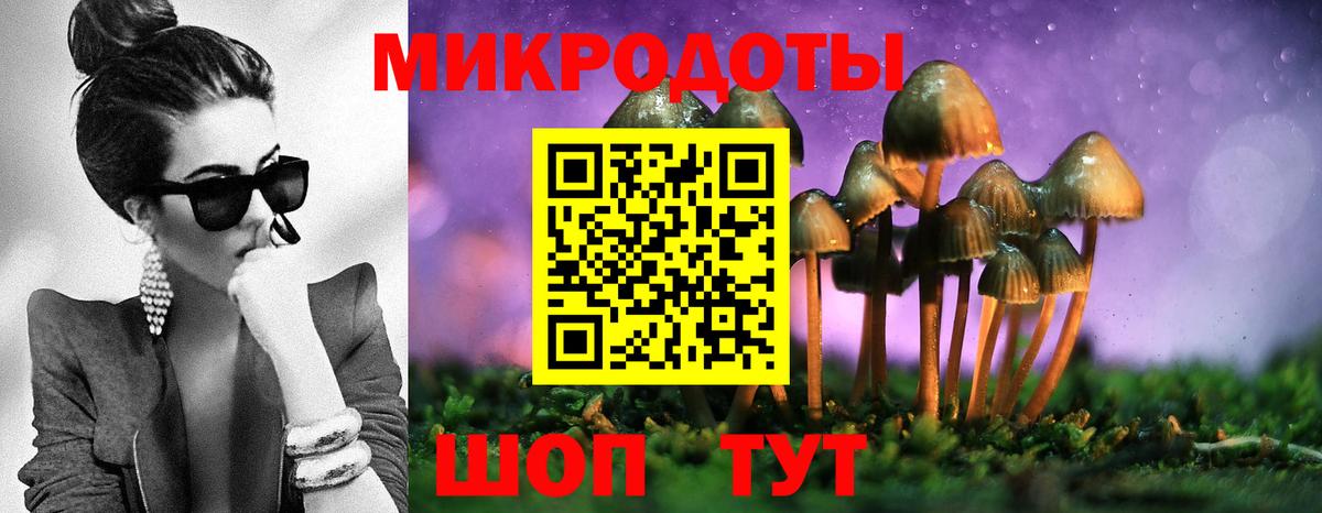 Псилоцибиновые грибы GOLDEN TEACHER Вышний Волочёк