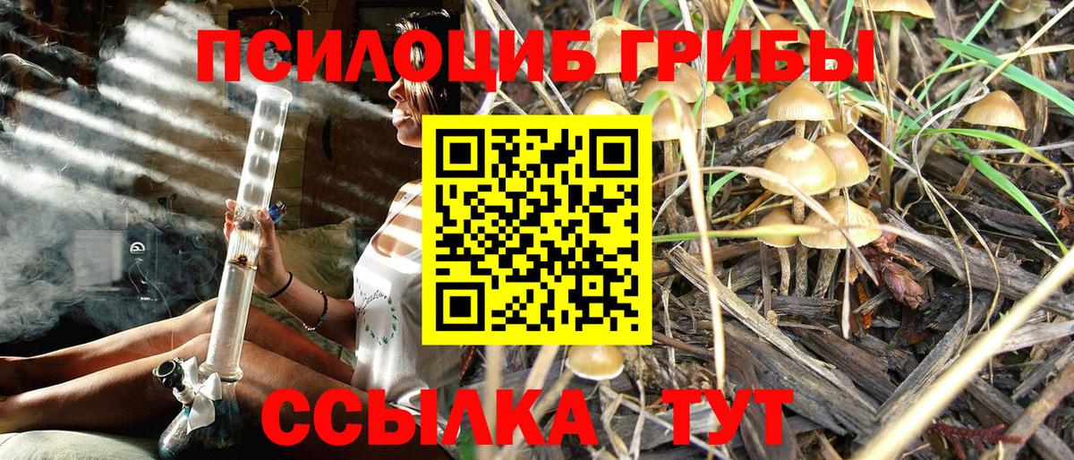 Псилоцибиновые грибы ЛСД Вышний Волочёк